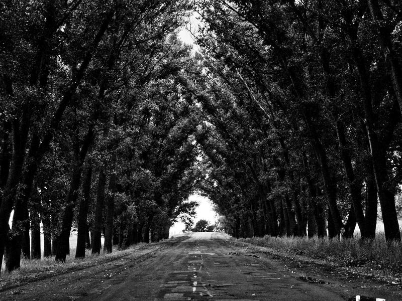 Facundo Córdoba Córdoba